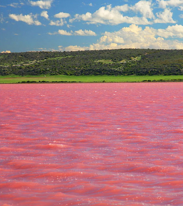 Pink Lake Hillier