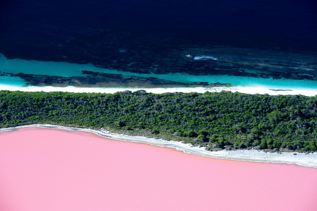 Pink Lake Hillier 